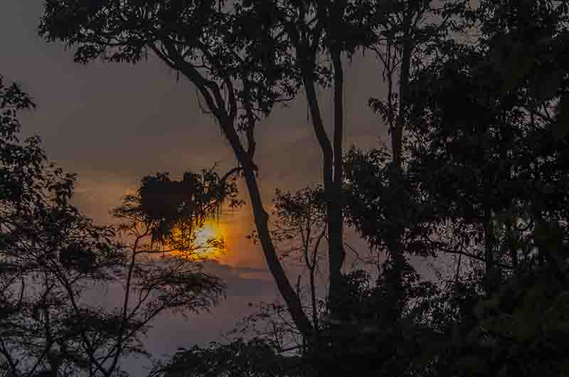 61 - Ruanda - parque nacional de Nyungwe - amanecer